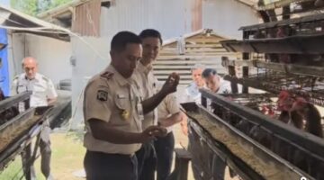 Kalapas Binjai Pimpin Study Tiru Budidaya Ayam Petelur, Perkuat Program Pembinaan Kemandirian Warga Binaan